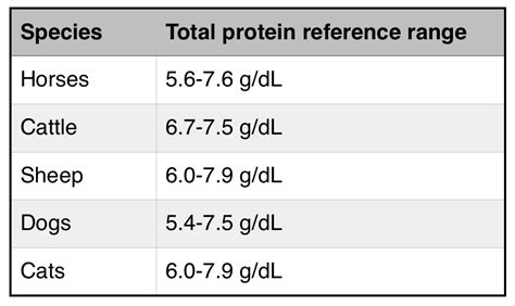 how to read a refractometer for serum total protein|total protein dog normal range.